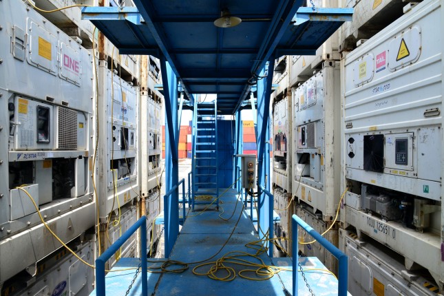 Ổ cắm điện container lạnh